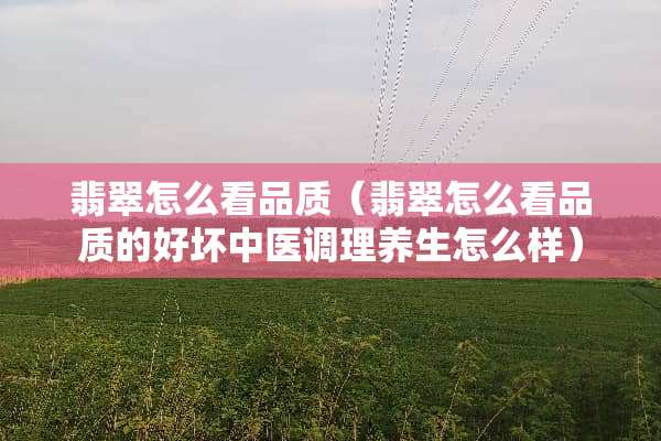 翡翠怎么看品质（翡翠怎么看品质的好坏中医调理养生怎么样）