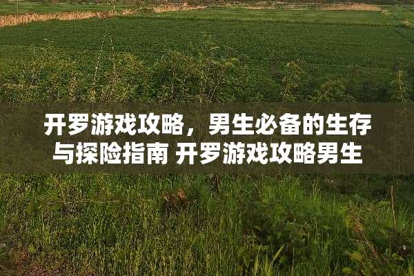 开罗游戏攻略，男生必备的生存与探险指南 开罗游戏攻略男生
