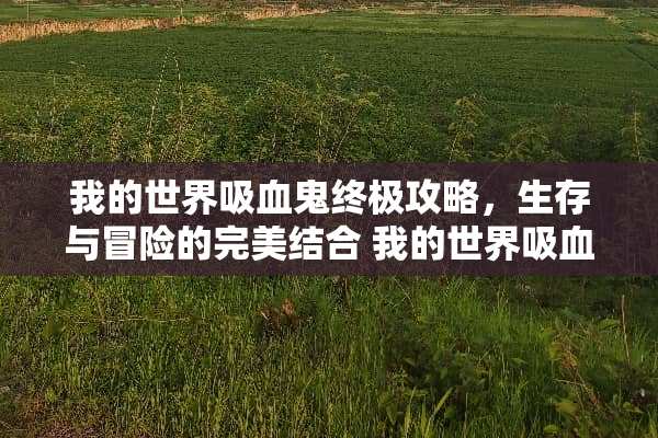 我的世界吸血鬼终极攻略，生存与冒险的完美结合 我的世界吸血鬼攻略