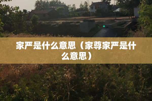 家严是什么意思（家尊家严是什么意思）