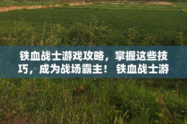 铁血战士游戏攻略，掌握这些技巧，成为战场霸主！ 铁血战士游戏攻略
