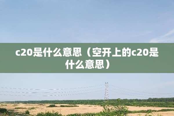 c20是什么意思（空开上的c20是什么意思）