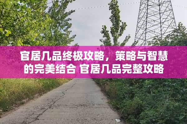 官居几品终极攻略，策略与智慧的完美结合 官居几品完整攻略