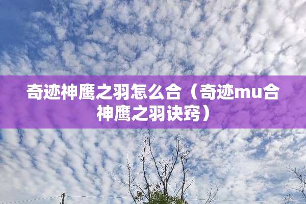 奇迹神鹰之羽怎么合（奇迹mu合神鹰之羽诀窍）