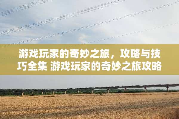 游戏玩家的奇妙之旅，攻略与技巧全集 游戏玩家的奇妙之旅攻略