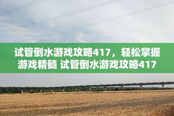 试管倒水游戏攻略417，轻松掌握游戏精髓 试管倒水游戏攻略417