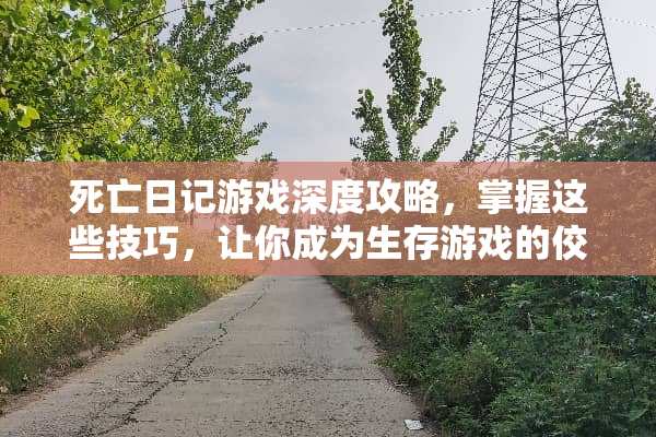 死亡日记游戏深度攻略，掌握这些技巧，让你成为生存游戏的佼佼者 死亡日记游戏攻略