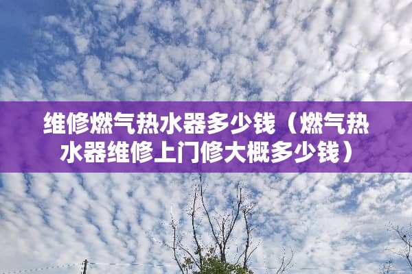 维修燃气热水器多少钱（燃气热水器维修上门修大概多少钱）