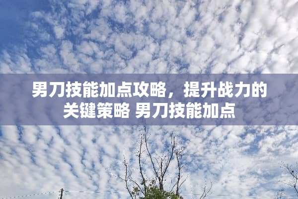 男刀技能加点攻略,提升战力的关键策略 男刀技能加点 男刀技能加点攻略,提升战力的关键策略 男刀技能加点