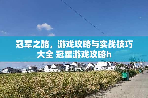 冠军之路，游戏攻略与实战技巧大全 冠军游戏攻略h