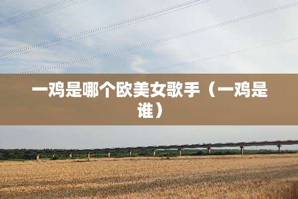 一鸡是哪个欧**歌手（一鸡是谁）