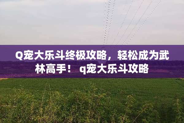 Q宠大乐斗终极攻略，轻松成为武林高手！ q宠大乐斗攻略