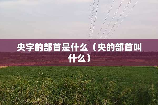 央字的部首是什么（央的部首叫什么）