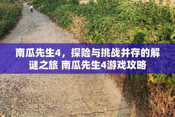 南瓜先生4，探险与挑战并存的解谜之旅 南瓜先生4游戏攻略