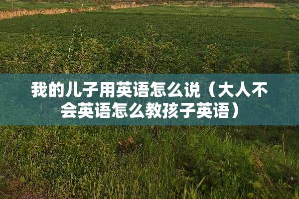 我的儿子用英语怎么说(大人不会英语怎么教孩子英语) 我的儿子用英语怎么说(大人不会英语怎么教孩子英语)