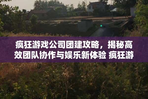 疯狂游戏公司团建攻略，揭秘高效团队协作与娱乐新体验 疯狂游戏公司团建攻略