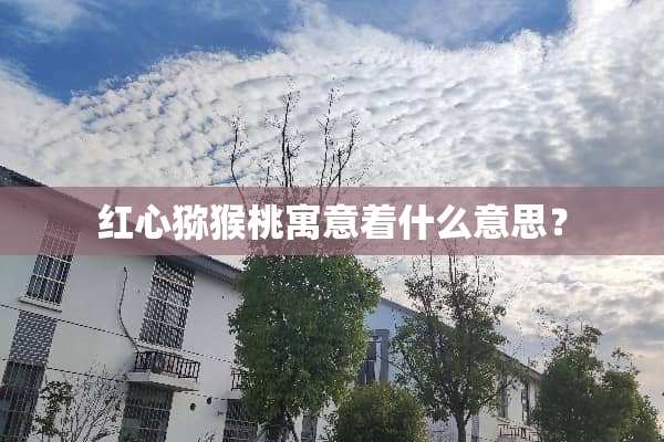 红心猕猴桃寓意着什么意思？