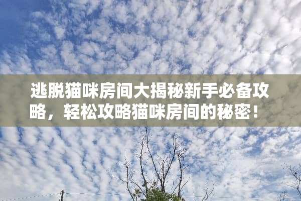 逃脱猫咪房间大揭秘新手必备攻略，轻松攻略猫咪房间的秘密！ 脱出猫咪房间游戏攻略