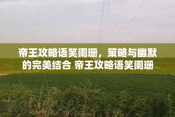 帝王攻略语笑阑珊，策略与幽默的完美结合 帝王攻略语笑阑珊