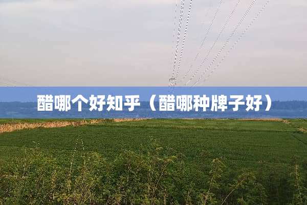 醋哪个好知乎（醋哪种牌子好）