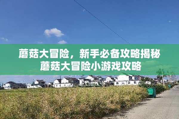 蘑菇大冒险，新手必备攻略揭秘 蘑菇大冒险小游戏攻略