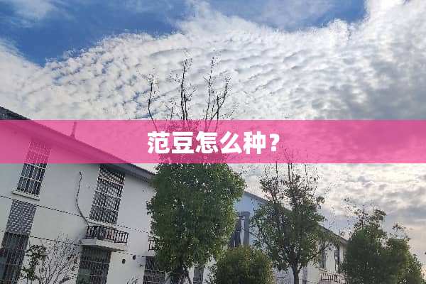 范豆怎么种？