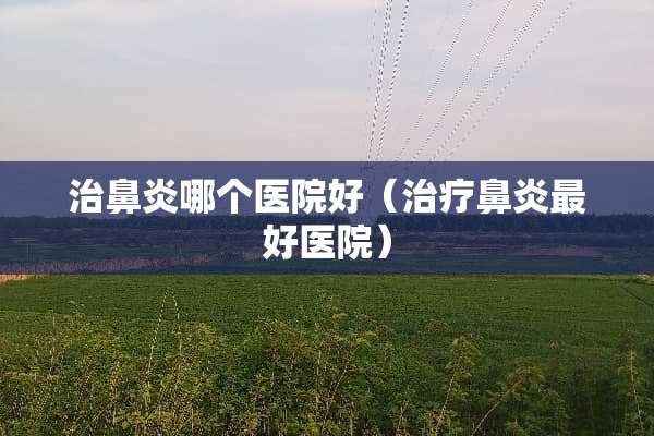 治鼻炎哪个医院好（治疗鼻炎最好医院）