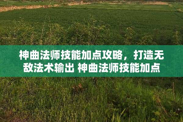 神曲法师技能加点攻略，打造无敌法术输出 神曲法师技能加点