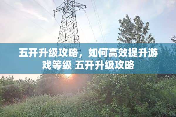 五开升级攻略，如何高效提升游戏等级 五开升级攻略