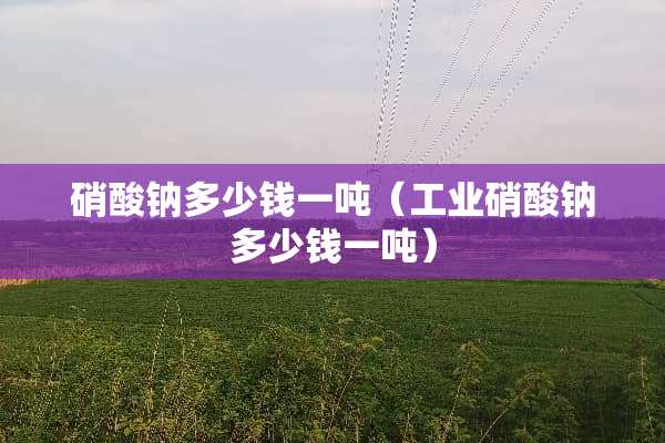 硝酸钠多少钱一吨（工业硝酸钠多少钱一吨）