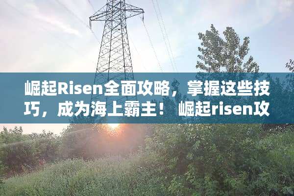 崛起Risen全面攻略，掌握这些技巧，成为海上霸主！ 崛起risen攻略