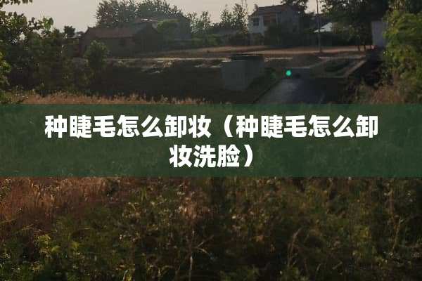 种睫毛怎么卸妆（种睫毛怎么卸妆洗脸）