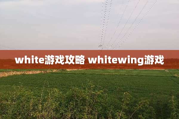 white游戏攻略 whitewing游戏