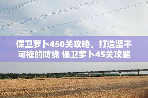 保卫萝卜450关攻略，打造坚不可摧的防线 保卫萝卜45关攻略