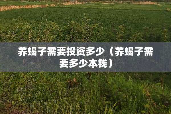 养蝎子需要投资多少（养蝎子需要多少本钱）