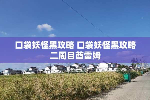 口袋妖怪黑攻略 口袋妖怪黑攻略二周目酋雷姆