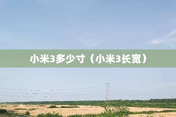 小米3多少寸（小米3长宽）
