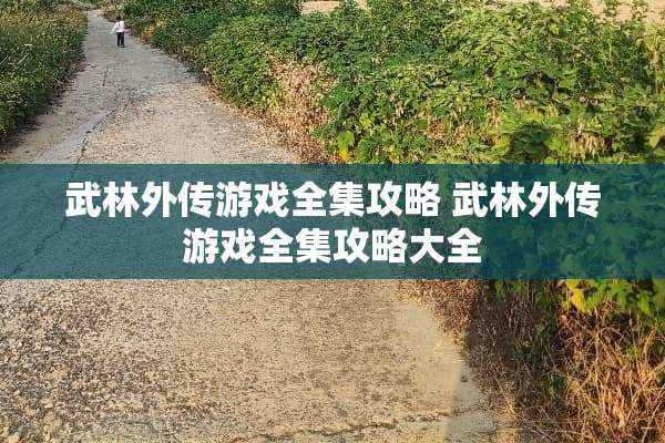 武林外传游戏全集攻略 武林外传游戏全集攻略大全