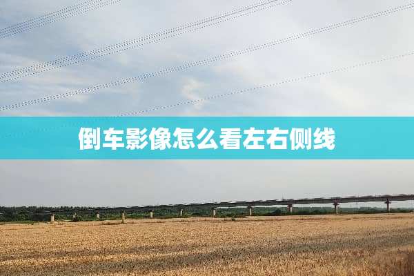 倒车影像怎么看左右侧线