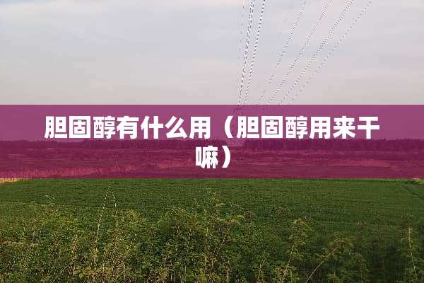 胆固醇有什么用（胆固醇用来干嘛）