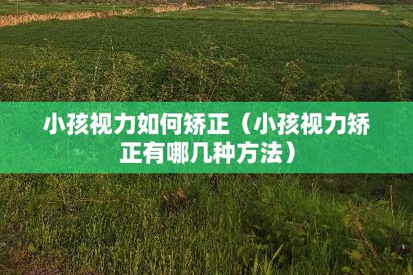 小孩视力如何矫正（小孩视力矫正有哪几种方法）