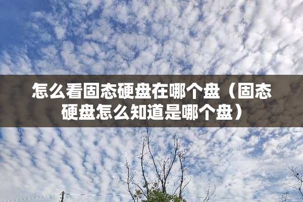 怎么看固态硬盘在哪个盘（固态硬盘怎么知道是哪个盘）