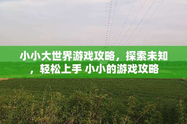 小小大世界游戏攻略，探索未知，轻松上手 小小的游戏攻略