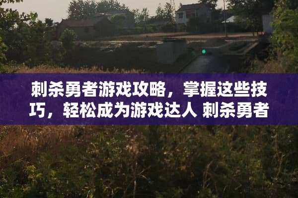 刺杀勇者游戏攻略，掌握这些技巧，轻松成为游戏达人 刺杀勇者小游戏攻略