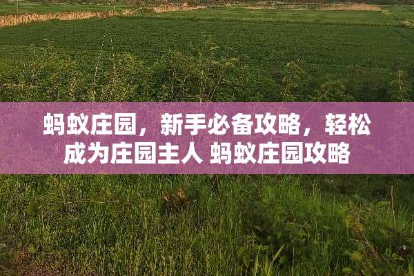 蚂蚁庄园,新手必备攻略,轻松成为庄园主人 蚂蚁庄园攻略 蚂蚁庄园,新手必备攻略,轻松成为庄园主人 蚂蚁庄园攻略