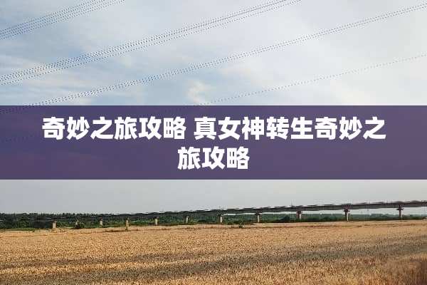 奇妙之旅攻略 真女神转生奇妙之旅攻略