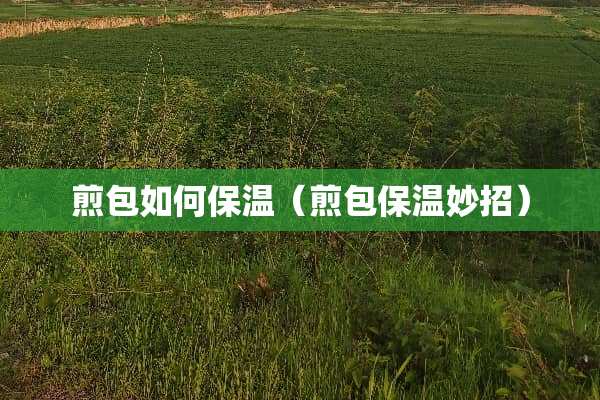 煎包如何保温（煎包保温妙招）