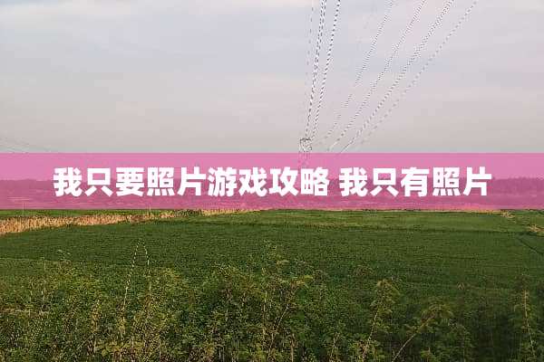 我只要照片游戏攻略 我只有照片