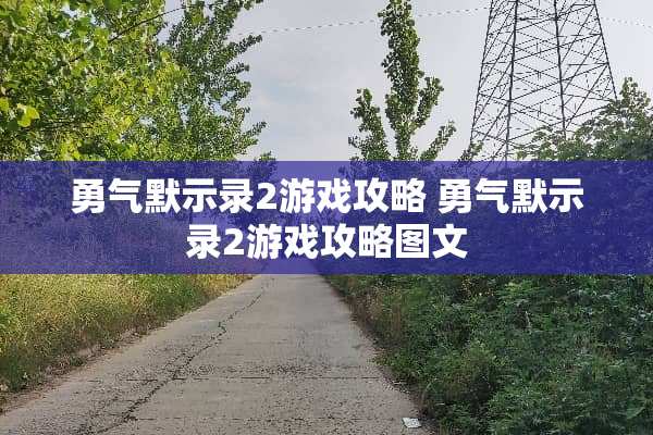 勇气默示录2游戏攻略 勇气默示录2游戏攻略图文