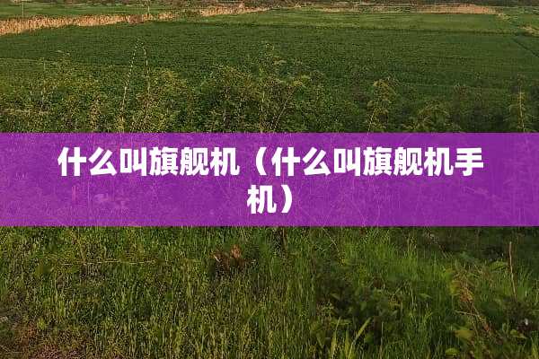 什么叫旗舰机（什么叫旗舰机手机）